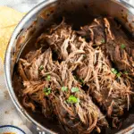 Mexican Shredded Beef