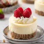 Easy Mini Cheesecake Recipe